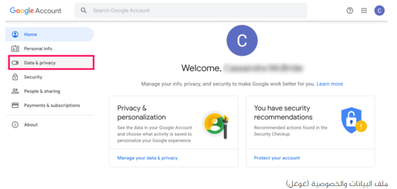 ملف البيانات والخصوصية على غوغل