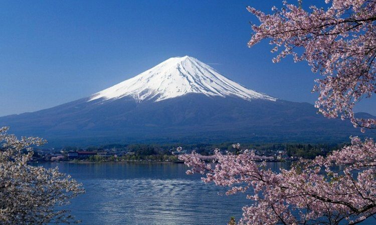 جبل فوجي الجميل