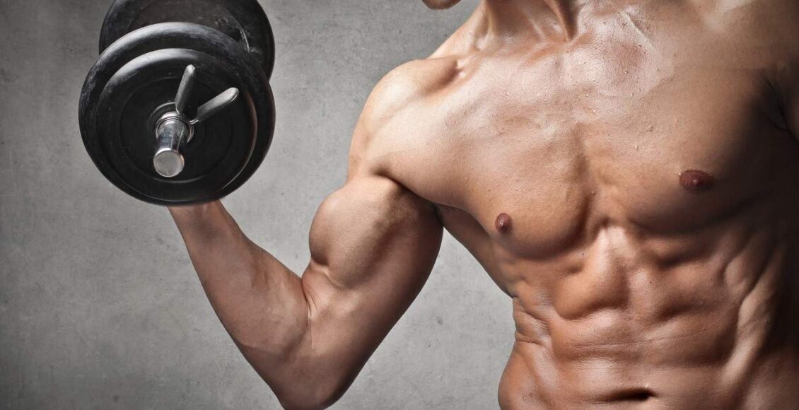بناء العضلات