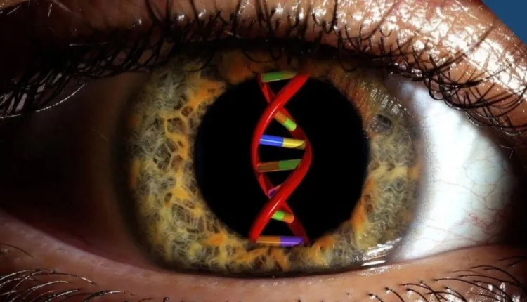 العمى الوراثي وأهم الأعراض والأسباب وأساليب التشخيص