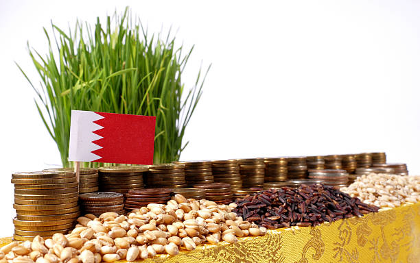 مسيرة تأمين أكثر البضائع الغذائية استهلاكا في البحرين
